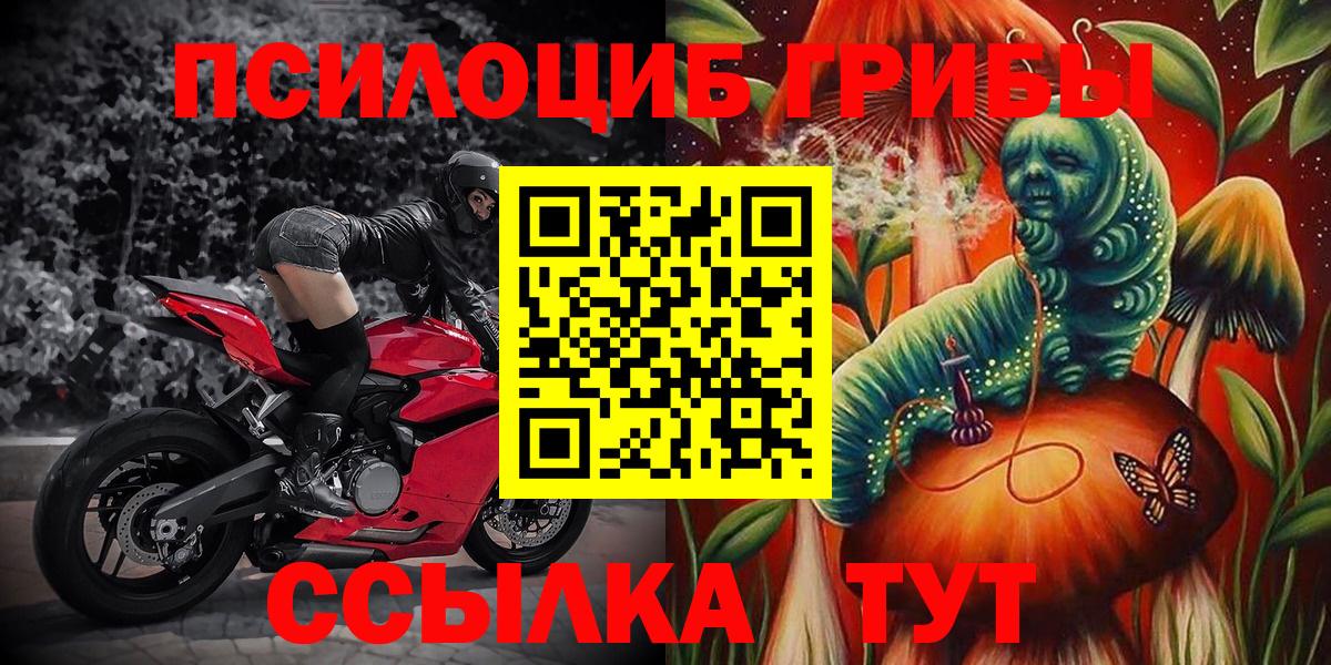 Новоуральск  Галлюциногенные грибы Psilocybine cubensis  Вход с VPN 